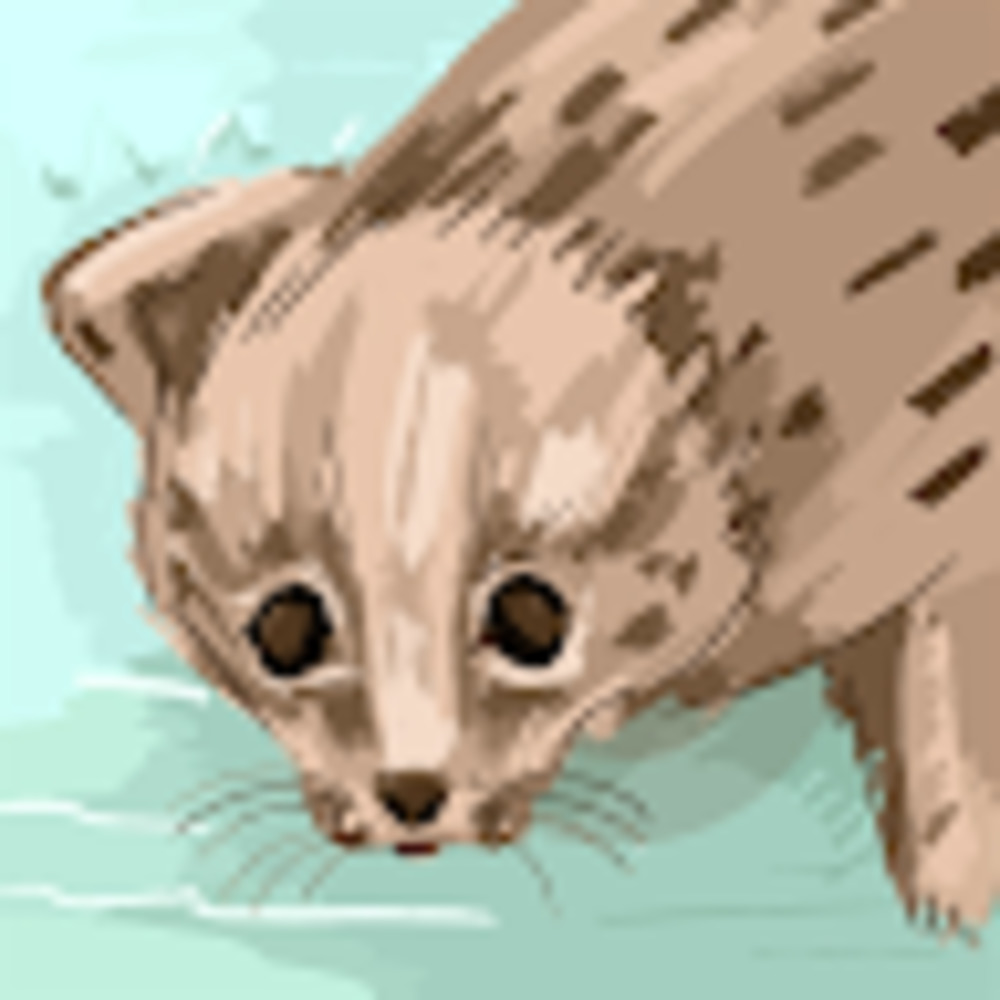 Meet your Posher, Jazzy